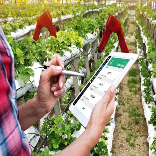 Agriculture Automation